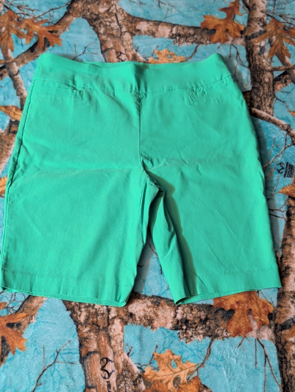 Kim Rogers Mint Green Mid-Length Bike Shorts
